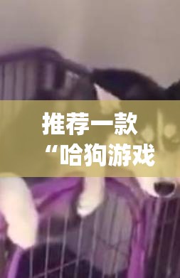 推荐一款“哈狗游戏十三道到底有挂吗”(透视挂)辅助透视教程