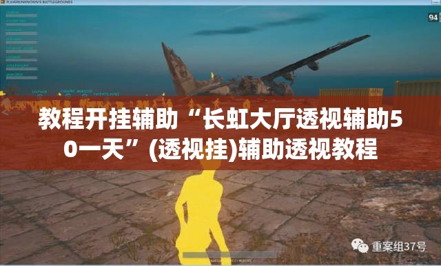 教程开挂辅助“长虹大厅透视辅助50一天”(透视挂)辅助透视教程