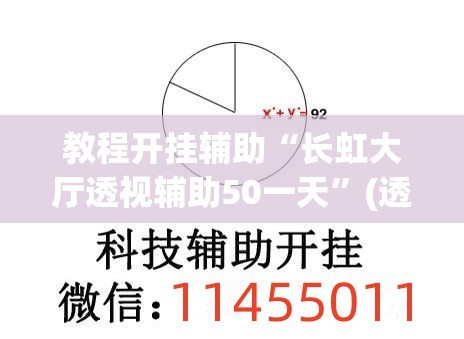 教程开挂辅助“长虹大厅透视辅助50一天”(透视挂)辅助透视教程