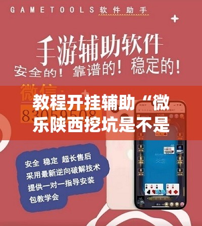 教程开挂辅助“微乐陕西挖坑是不是有挂”(透视挂)辅助透视教程