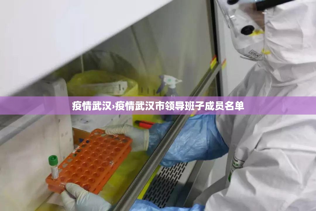 疫情武汉›疫情武汉市领导班子成员名单