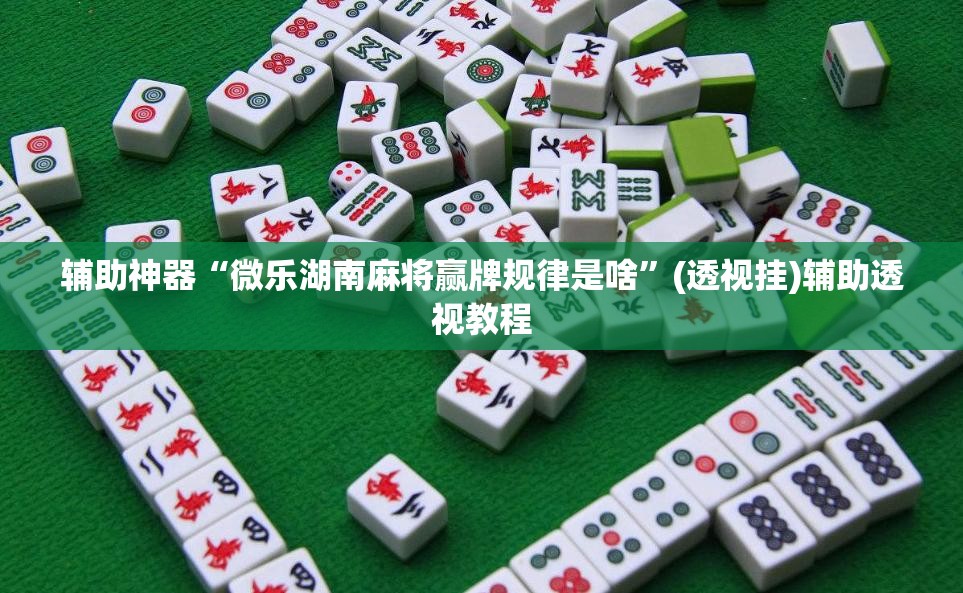 辅助神器“微乐湖南麻将赢牌规律是啥”(透视挂)辅助透视教程