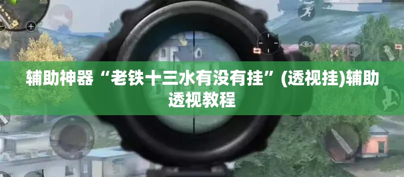辅助神器“老铁十三水有没有挂”(透视挂)辅助透视教程