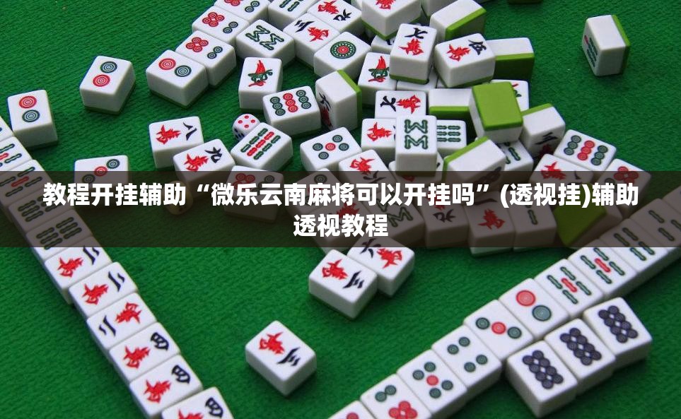 教程开挂辅助“微乐云南麻将可以开挂吗	”(透视挂)辅助透视教程