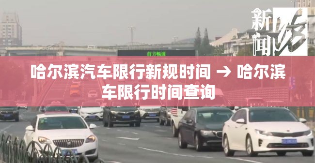 哈尔滨汽车限行新规时间 → 哈尔滨车限行时间查询