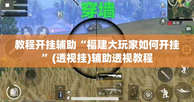教程开挂辅助“福建大玩家如何开挂	”(透视挂)辅助透视教程