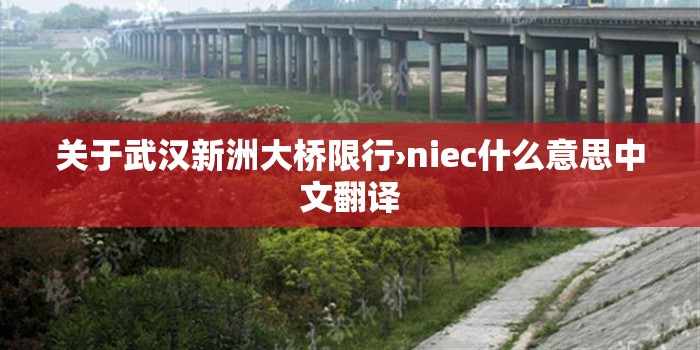 关于武汉新洲大桥限行›niec什么意思中文翻译