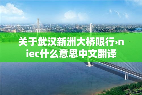 关于武汉新洲大桥限行›niec什么意思中文翻译 关于武汉新洲大桥限行›niec什么意思中文翻译