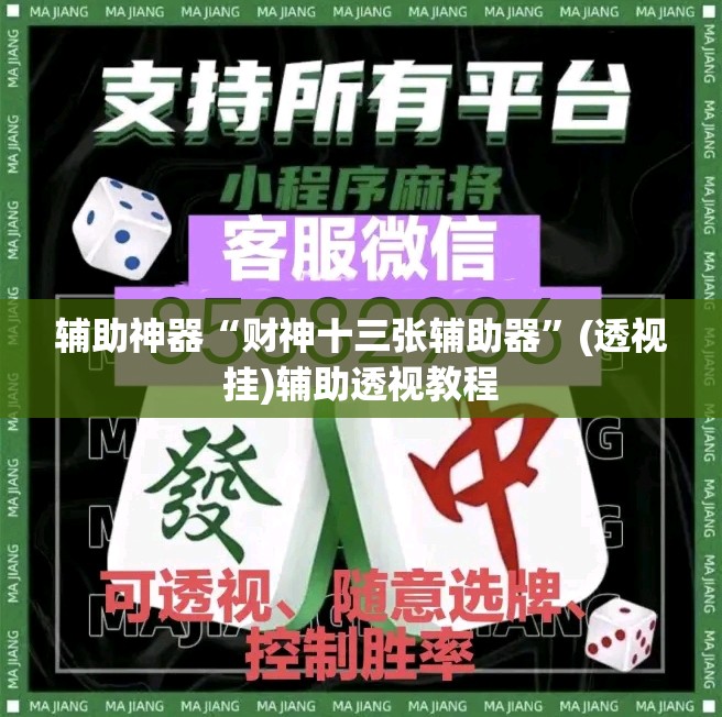 辅助神器“财神十三张辅助器”(透视挂)辅助透视教程