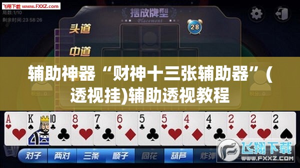 辅助神器“财神十三张辅助器”(透视挂)辅助透视教程