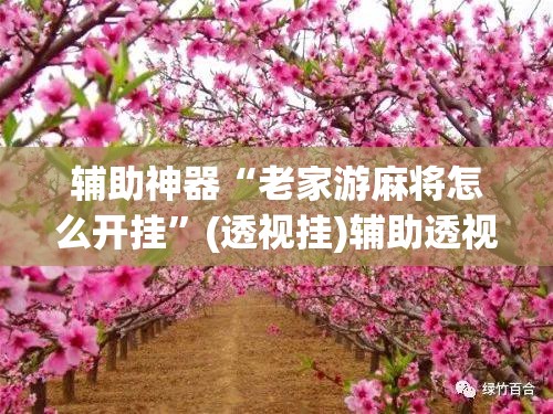 辅助神器“老家游麻将怎么开挂	”(透视挂)辅助透视教程