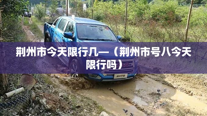 荆州市今天限行几—（荆州市号八今天限行吗）