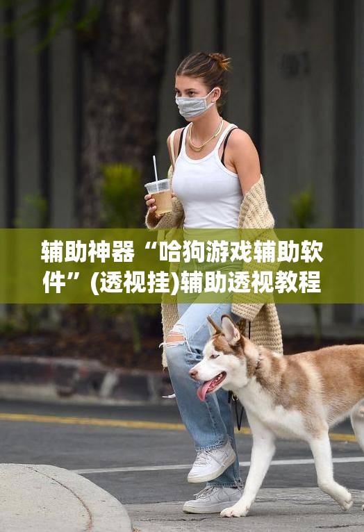 辅助神器“哈狗游戏辅助软件”(透视挂)辅助透视教程