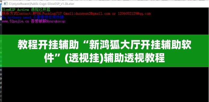 教程开挂辅助“新鸿狐大厅开挂辅助软件	”(透视挂)辅助透视教程