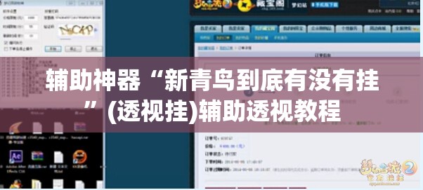 辅助神器“新青鸟到底有没有挂”(透视挂)辅助透视教程