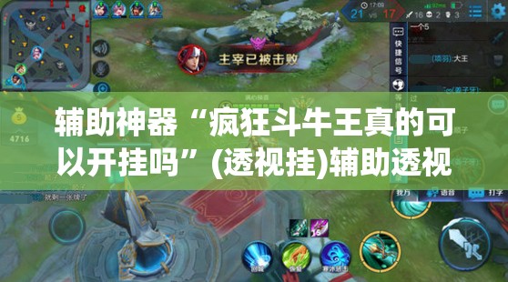 辅助神器“疯狂斗牛王真的可以开挂吗”(透视挂)辅助透视教程