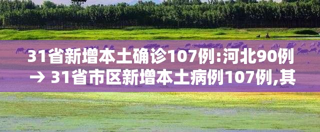 31省新增本土确诊107例:河北90例 → 31省市区新增本土病例107例,其中河北新增90例