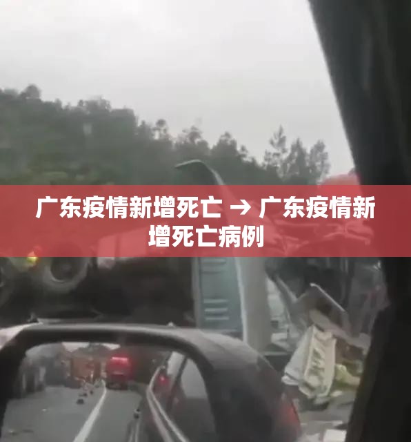 广东疫情新增死亡 → 广东疫情新增死亡病例
