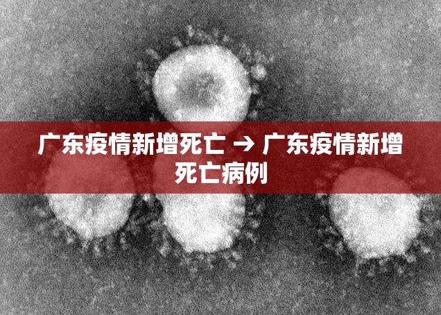 广东疫情新增死亡 → 广东疫情新增死亡病例