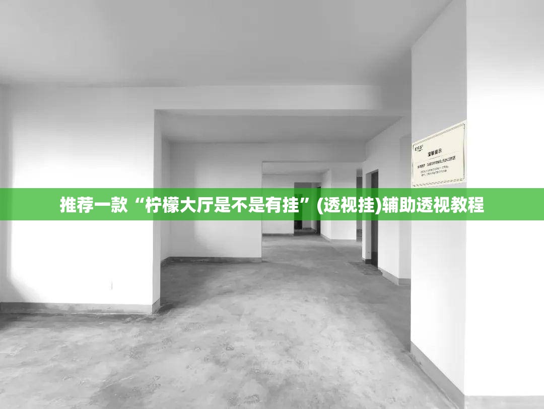 推荐一款“柠檬大厅是不是有挂”(透视挂)辅助透视教程