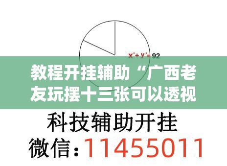 教程开挂辅助“广西老友玩摆十三张可以透视吗”(透视挂)辅助透视教程