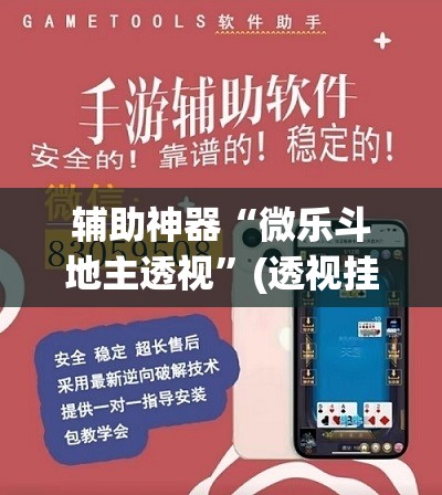辅助神器“微乐斗地主透视”(透视挂)辅助透视教程
