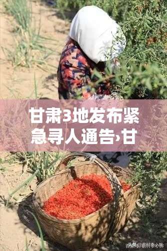 甘肃3地发布紧急寻人通告›甘肃3地发布紧急寻人通告今天