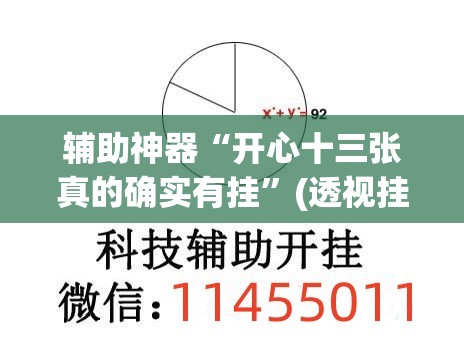 辅助神器“开心十三张真的确实有挂”(透视挂)辅助透视教程