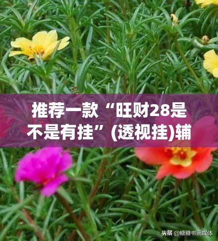 推荐一款“旺财28是不是有挂”(透视挂)辅助透视教程