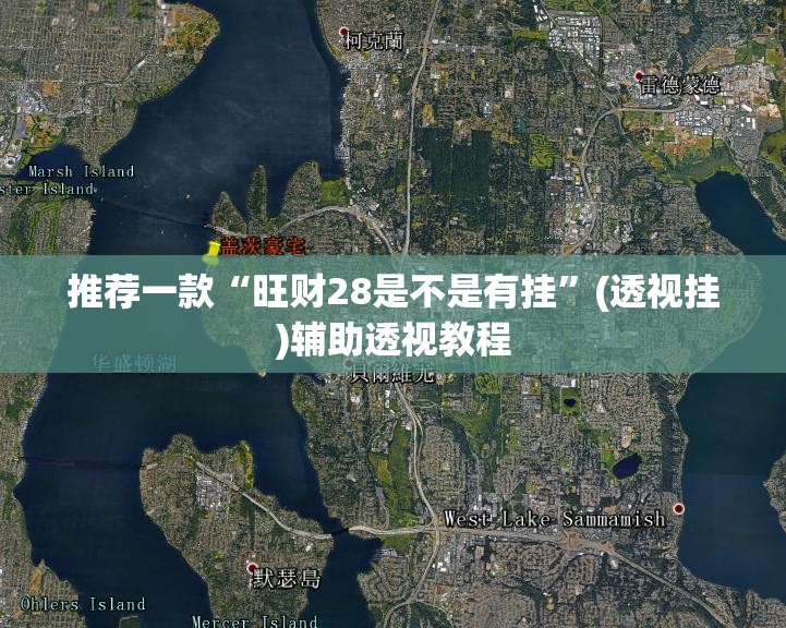 推荐一款“旺财28是不是有挂”(透视挂)辅助透视教程