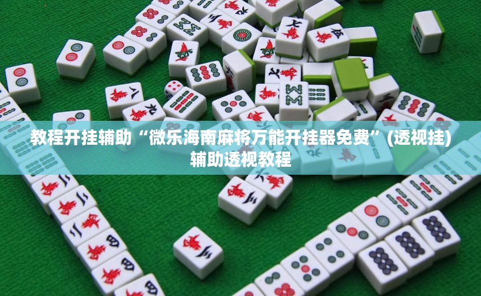教程开挂辅助“微乐海南麻将万能开挂器免费”(透视挂)辅助透视教程