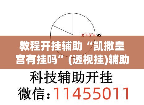 教程开挂辅助“凯撒皇宫有挂吗	”(透视挂)辅助透视教程