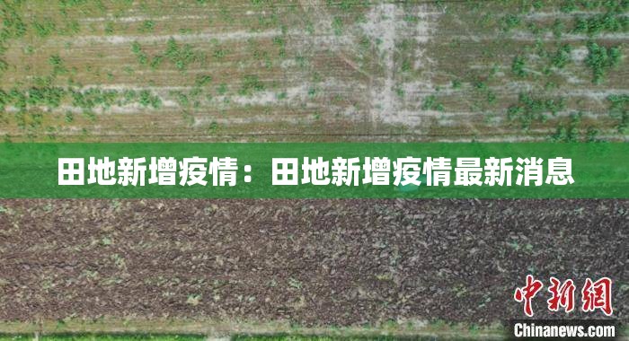 田地新增疫情：田地新增疫情最新消息
