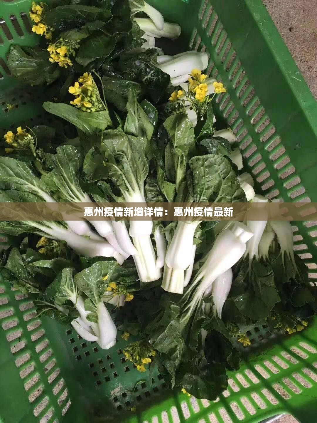 惠州疫情新增详情：惠州疫情最新