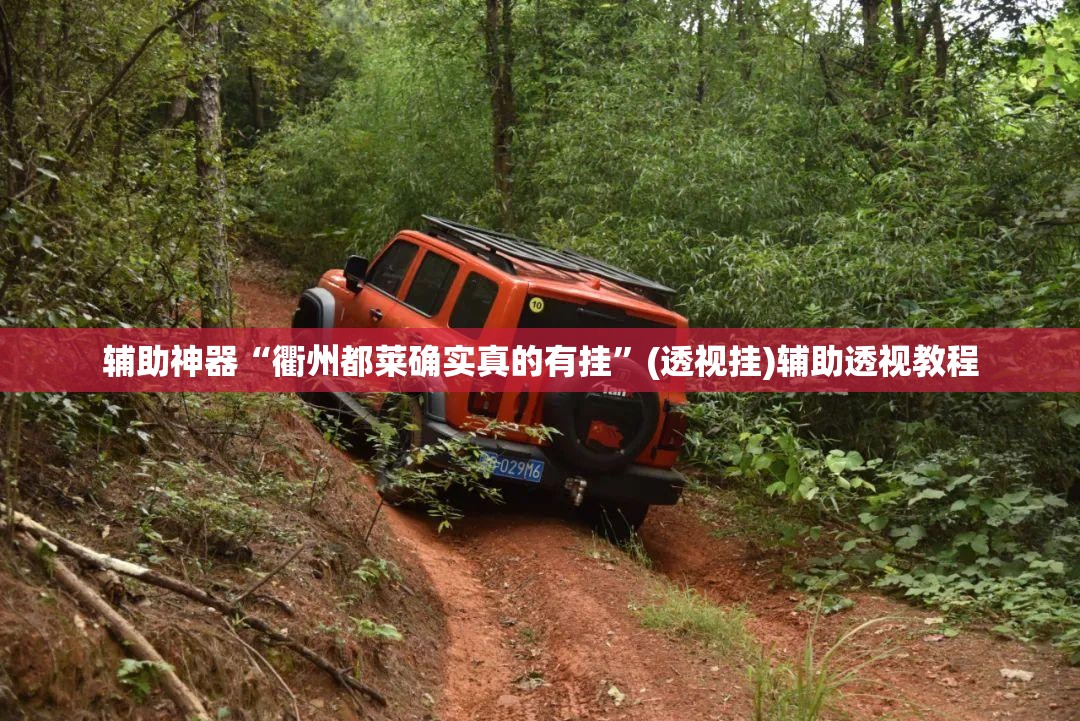 辅助神器“衢州都莱确实真的有挂	”(透视挂)辅助透视教程
