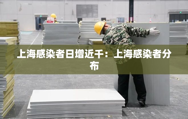 上海感染者日增近千：上海感染者分布