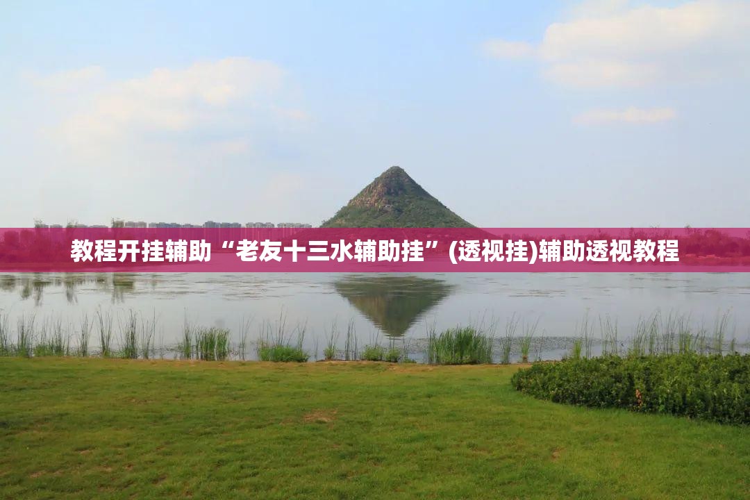 教程开挂辅助“老友十三水辅助挂	”(透视挂)辅助透视教程