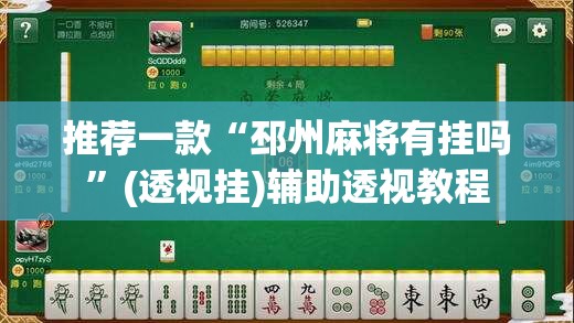 推荐一款“邳州麻将有挂吗”(透视挂)辅助透视教程