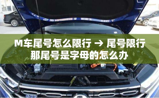M车尾号怎么限行 → 尾号限行那尾号是字母的怎么办
