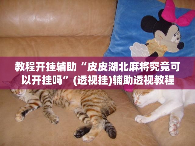 教程开挂辅助“皮皮湖北麻将究竟可以开挂吗”(透视挂)辅助透视教程