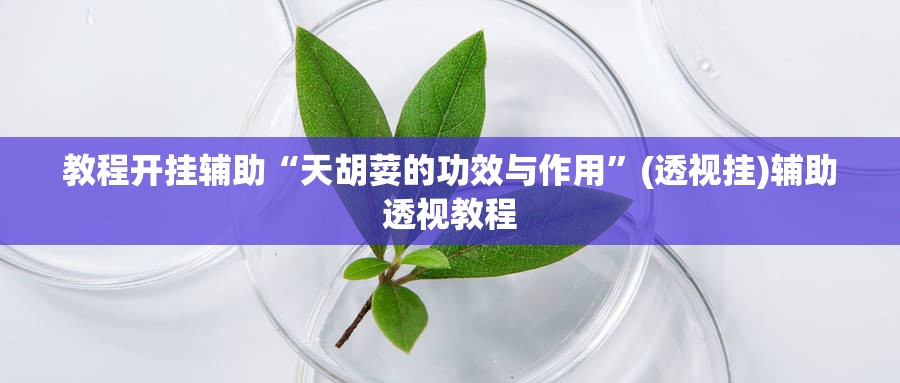 教程开挂辅助“天胡荽的功效与作用”(透视挂)辅助透视教程