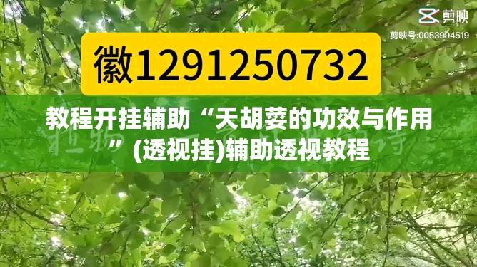教程开挂辅助“天胡荽的功效与作用”(透视挂)辅助透视教程