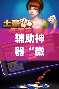 辅助神器“微乐斗地主万能透视”(透视挂)辅助透视教程