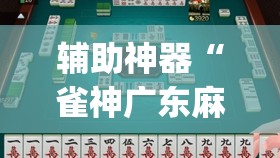 辅助神器“雀神广东麻将微信挂”(透视挂)辅助透视教程