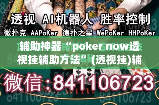 辅助神器“poker now透视挂辅助方法”(透视挂)辅助透视教程
