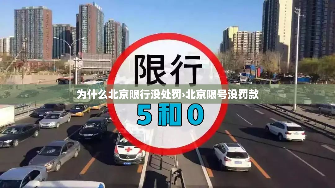 辅助神器“长乐上品十三水开挂软件”(透视挂)辅助透视教程