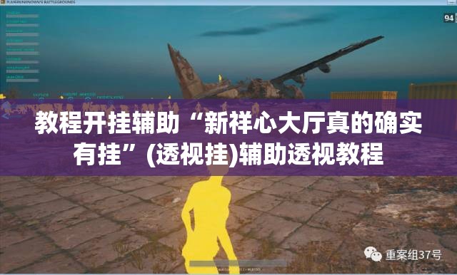 教程开挂辅助“新祥心大厅真的确实有挂”(透视挂)辅助透视教程