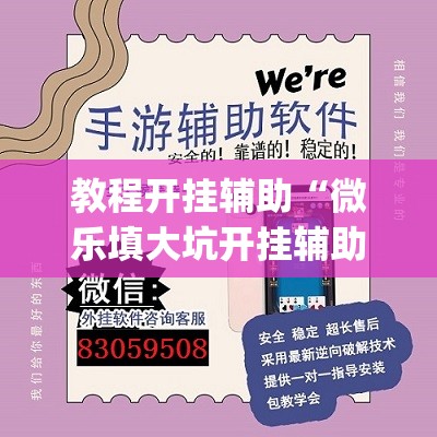 教程开挂辅助“微乐填大坑开挂辅助器”(透视挂)辅助透视教程
