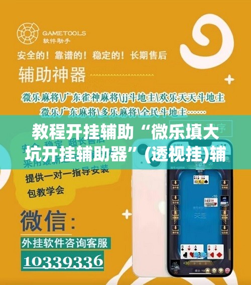 教程开挂辅助“微乐填大坑开挂辅助器”(透视挂)辅助透视教程
