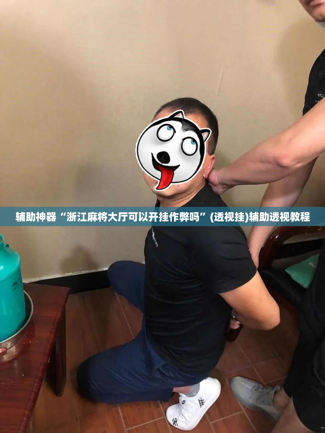 辅助神器“浙江麻将大厅可以开挂作弊吗”(透视挂)辅助透视教程
